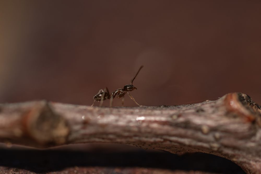 Photograph by Deon Oosthuizen