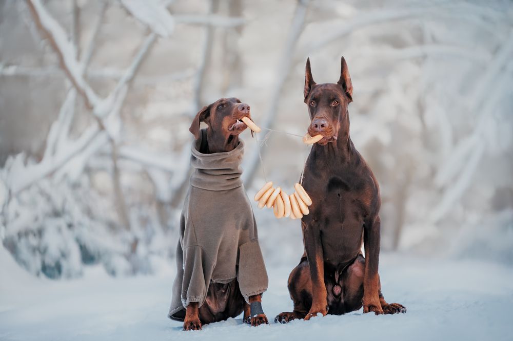 Photograph by Мария Клещенко