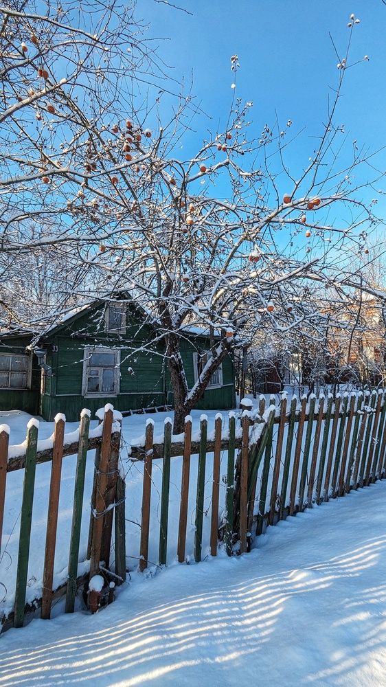 Photograph by Ирина Багдасарова