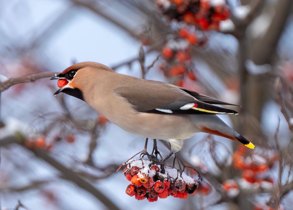 Photograph by Viktor Makarov