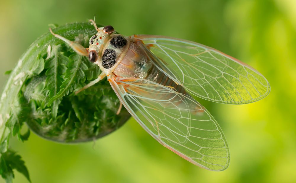 Photograph by Тараненко Анжелика