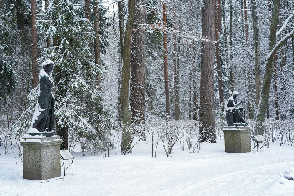 Photograph by Елена