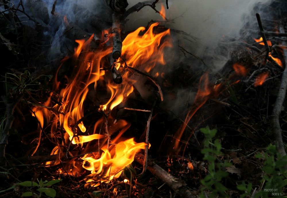 Photograph by София Лаврентьева