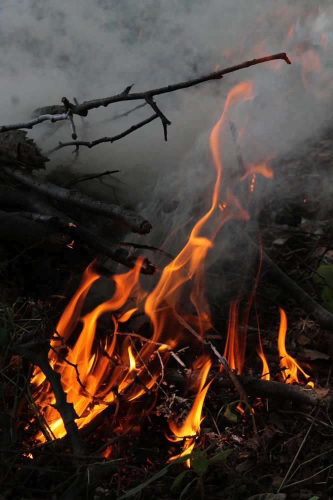 Photograph by София Лаврентьева