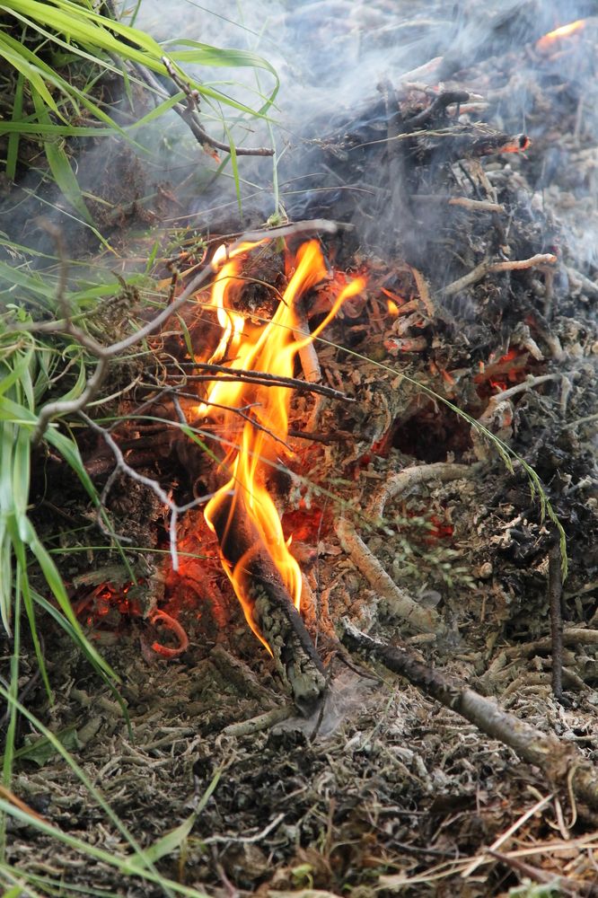 Photograph by София Лаврентьева