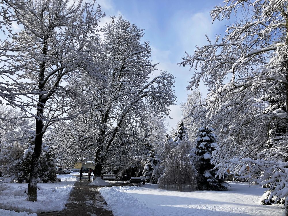 Photograph by Ярослав Сергеевич