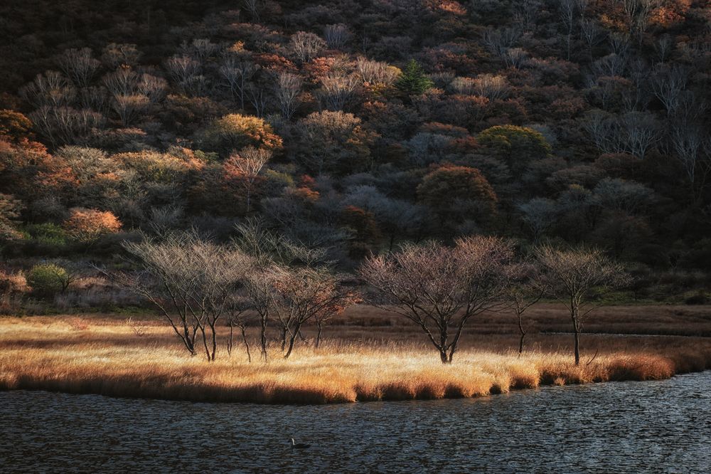 Photograph by K_ Tsunoda