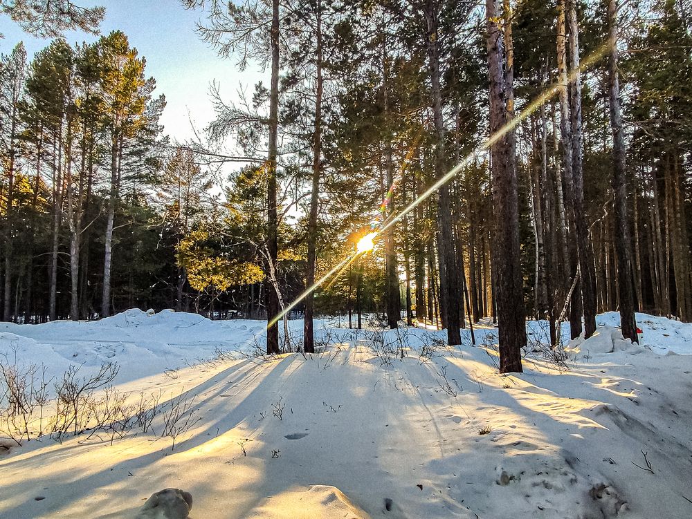 Фотография автора Нина Зинченко