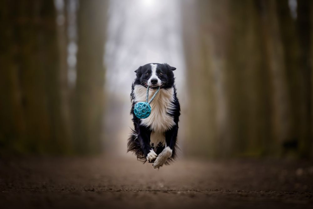 Photograph by Shanna van Mens