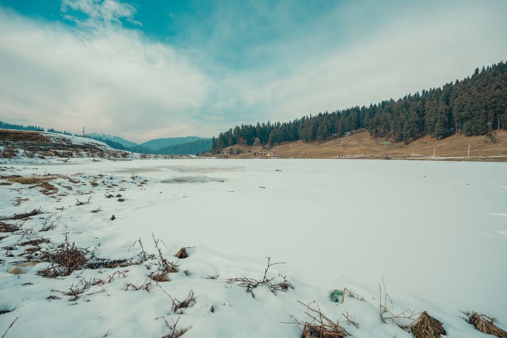 A fragile beauty, born of winter's chill.