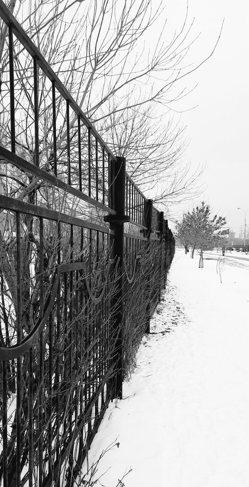 Photograph by Ирина Лукашова