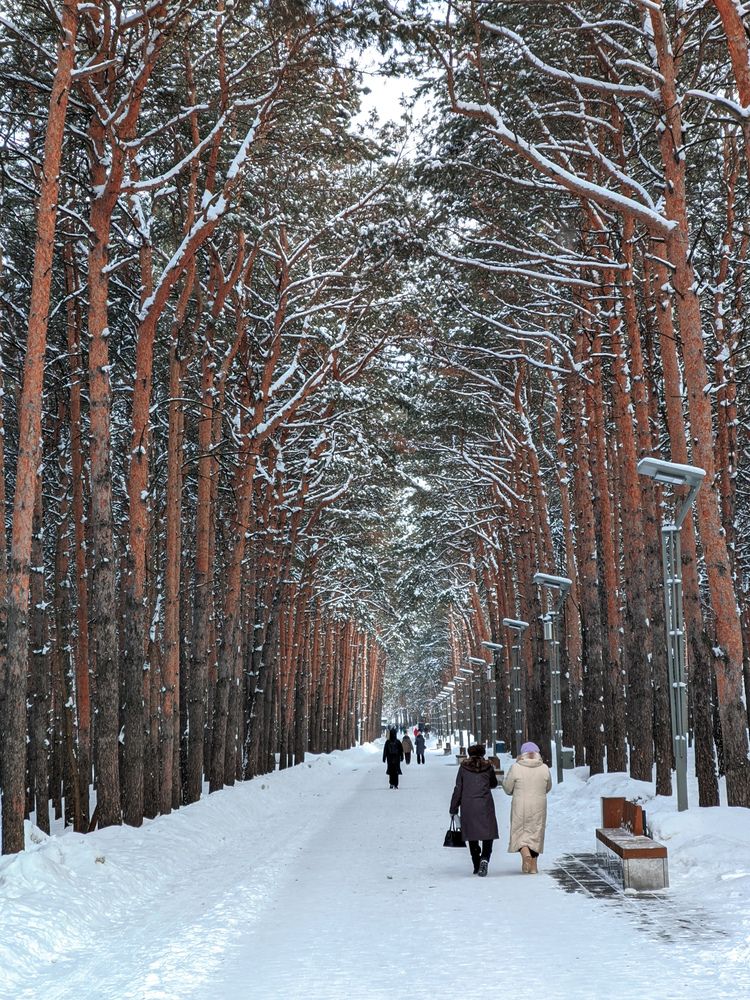 Photograph by Олега Тор