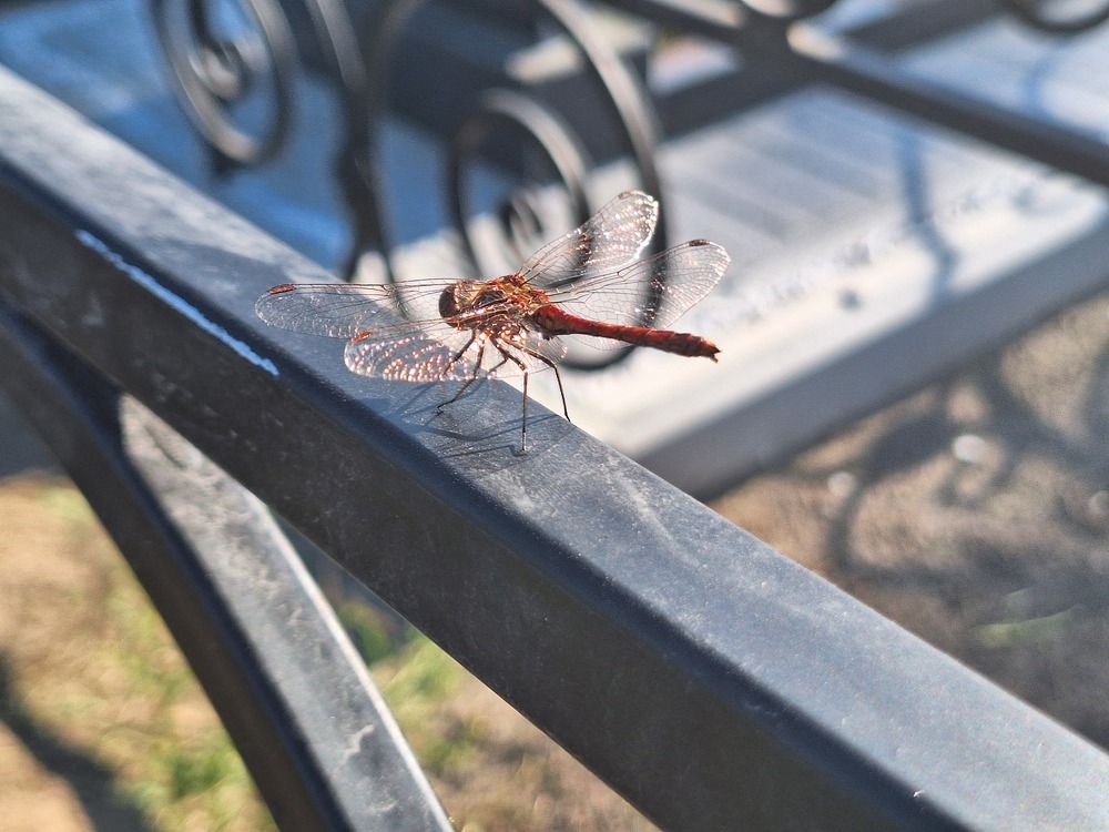 Photograph by София Лаврентьева