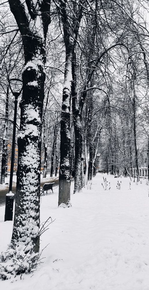 Photograph by Galust Arabyan