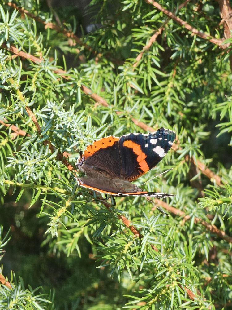 Фотография автора Александр Петуховский