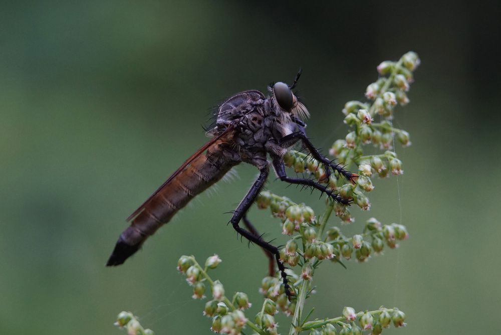 Photograph by Лена Максимкина