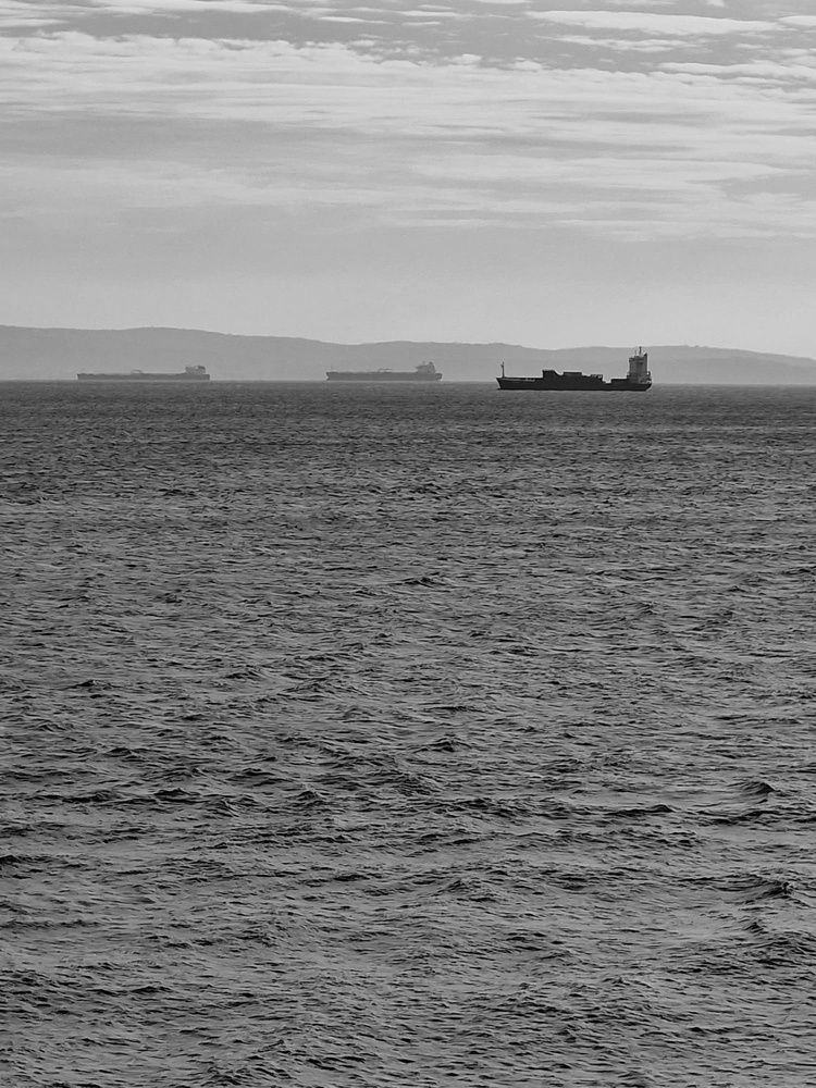 Photograph by Kolomietc Mariia