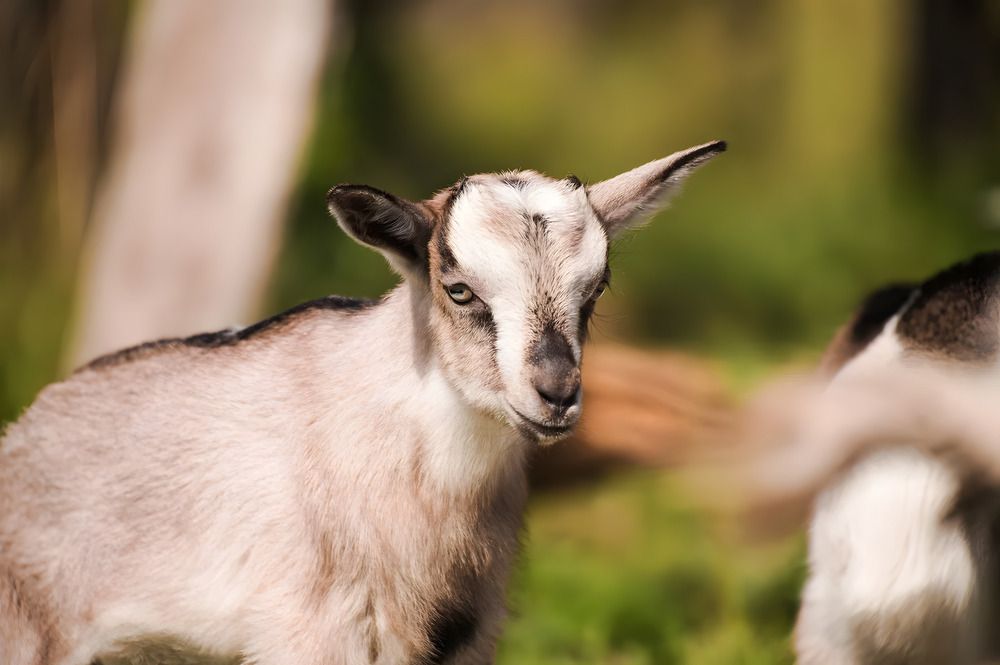 Photograph by Евгений Николаенков