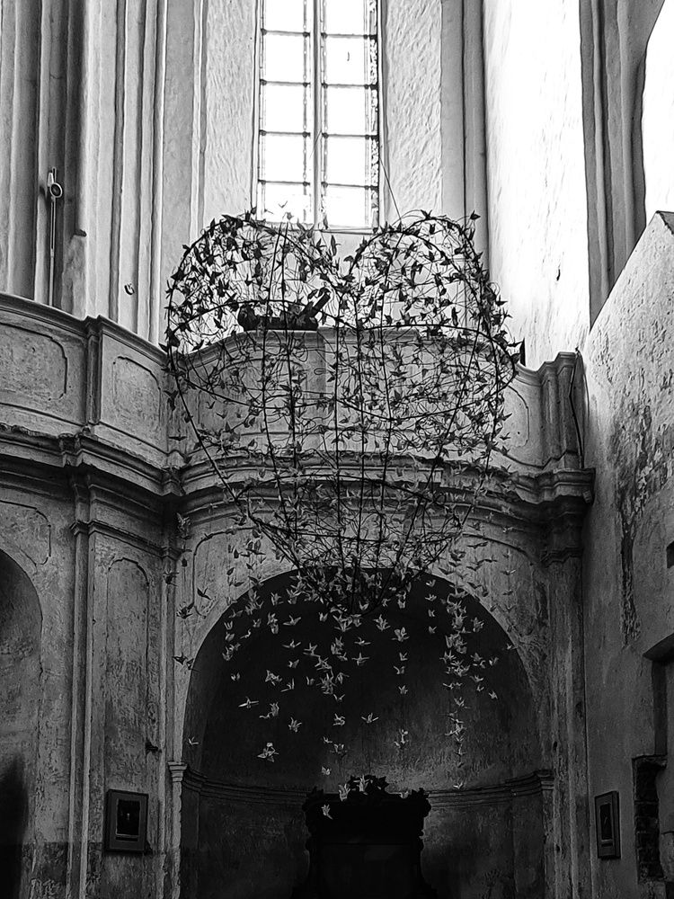 Photograph by Татьяна Соколовская