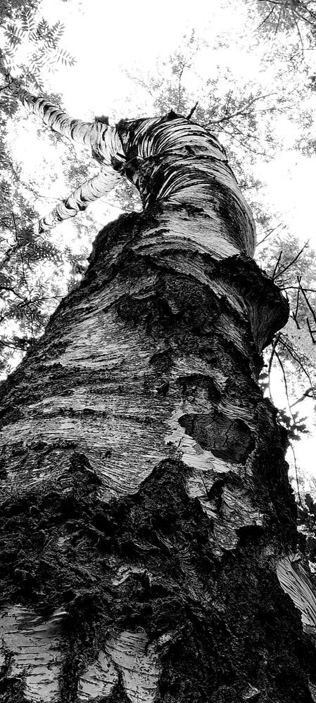 Photograph by Galust Arabyan