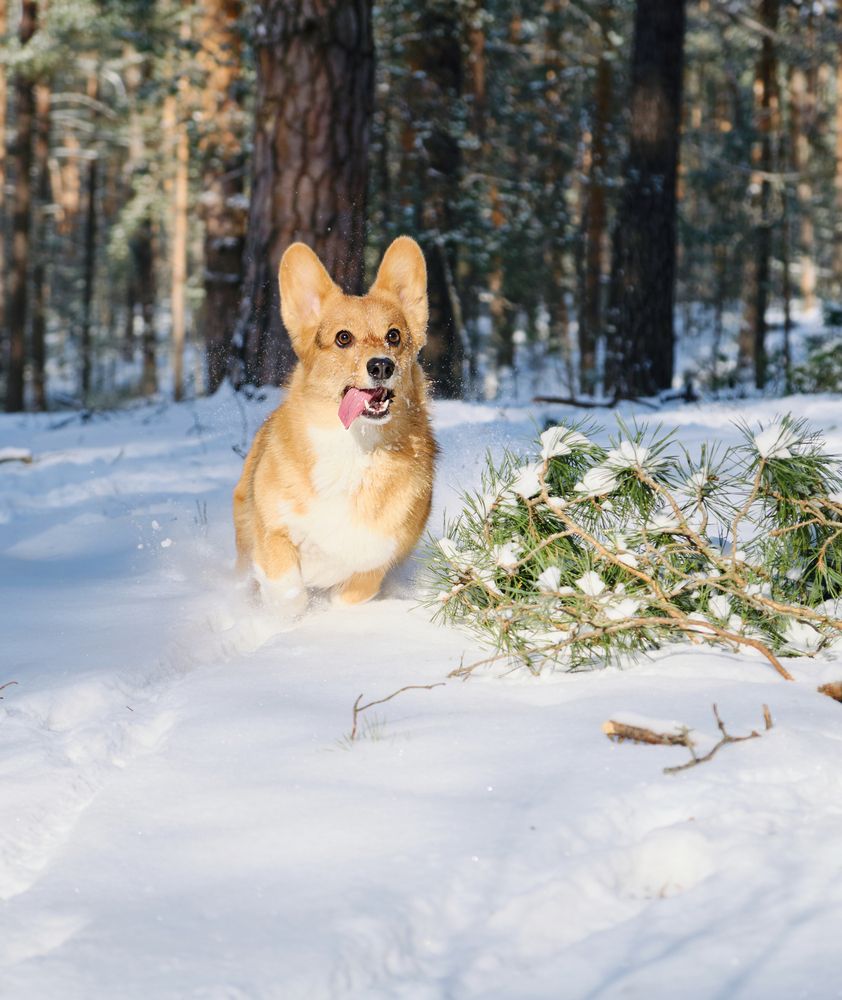 Photograph by Валерия Дурнева