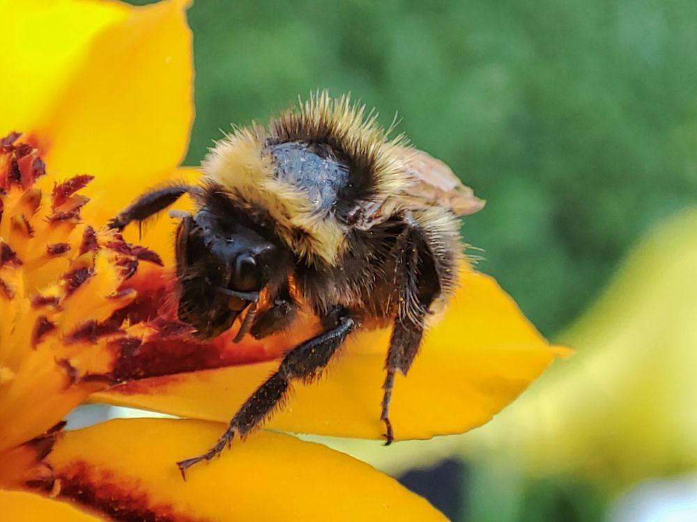 Photograph by Алёна Пшеленская