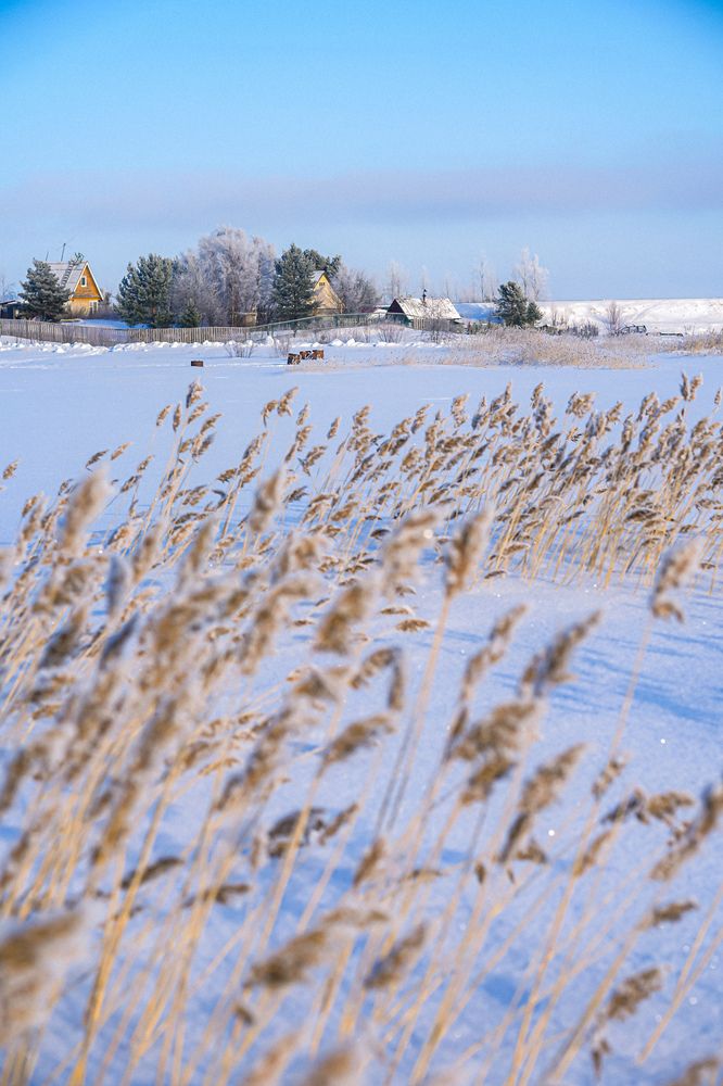 Photograph by Татьяна Машина