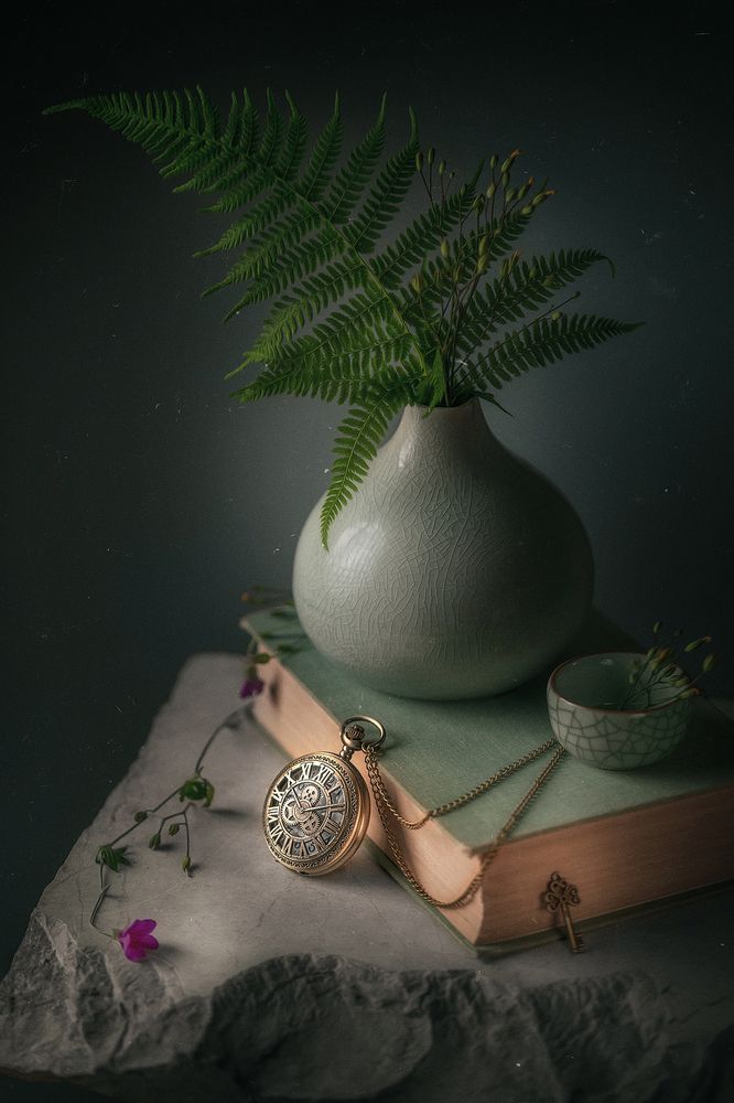 Фотография автора Ольга Яр