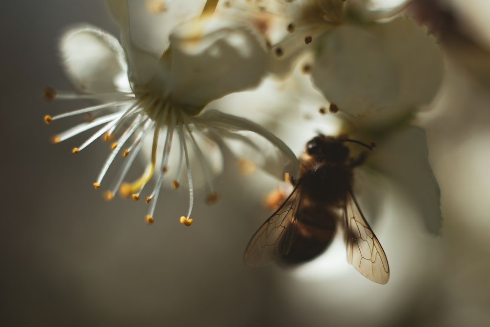 Фотография автора Войнов Дмитрий