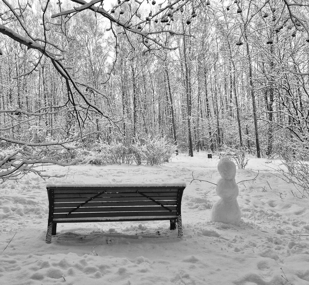 Photograph by Яна Галимуллина