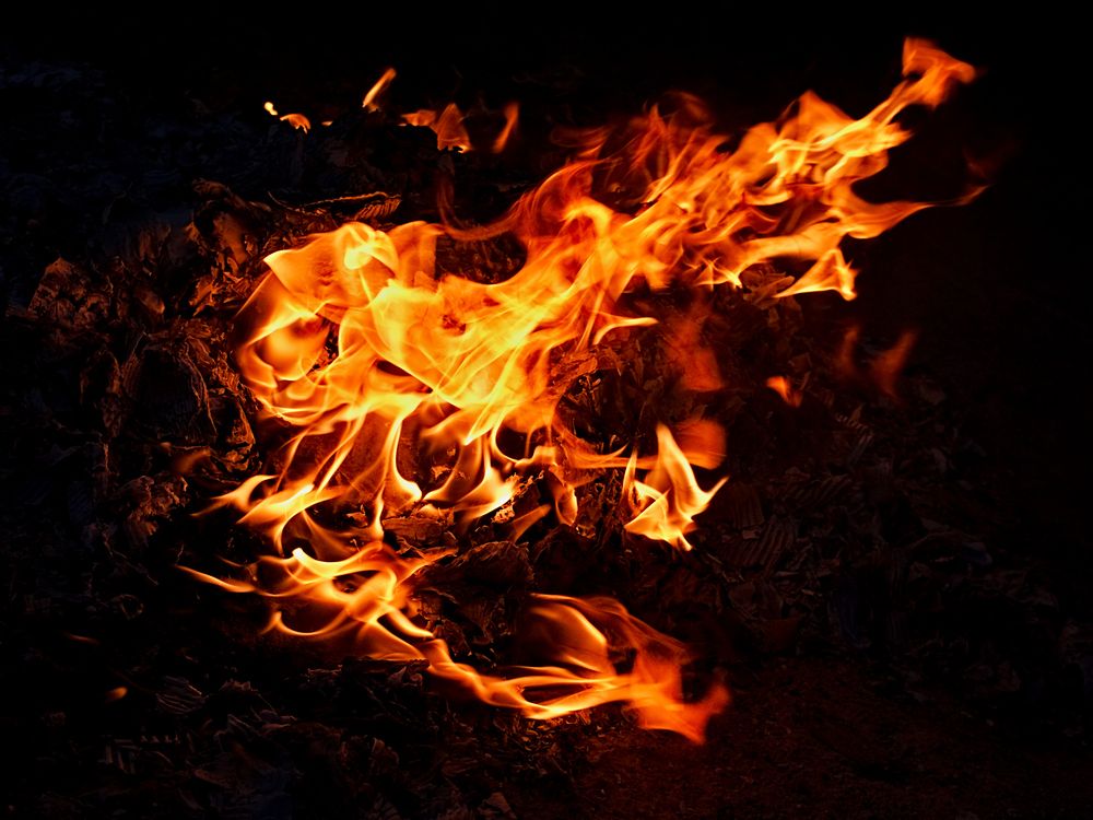 Photograph by Евгений Козлов