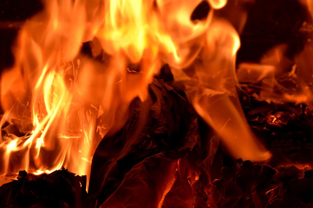 Photograph by Beatriz Games