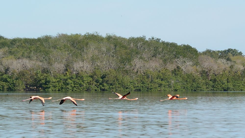 Photograph by Василий