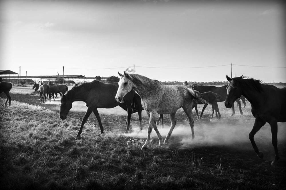 Photograph by Вероника Гергерт