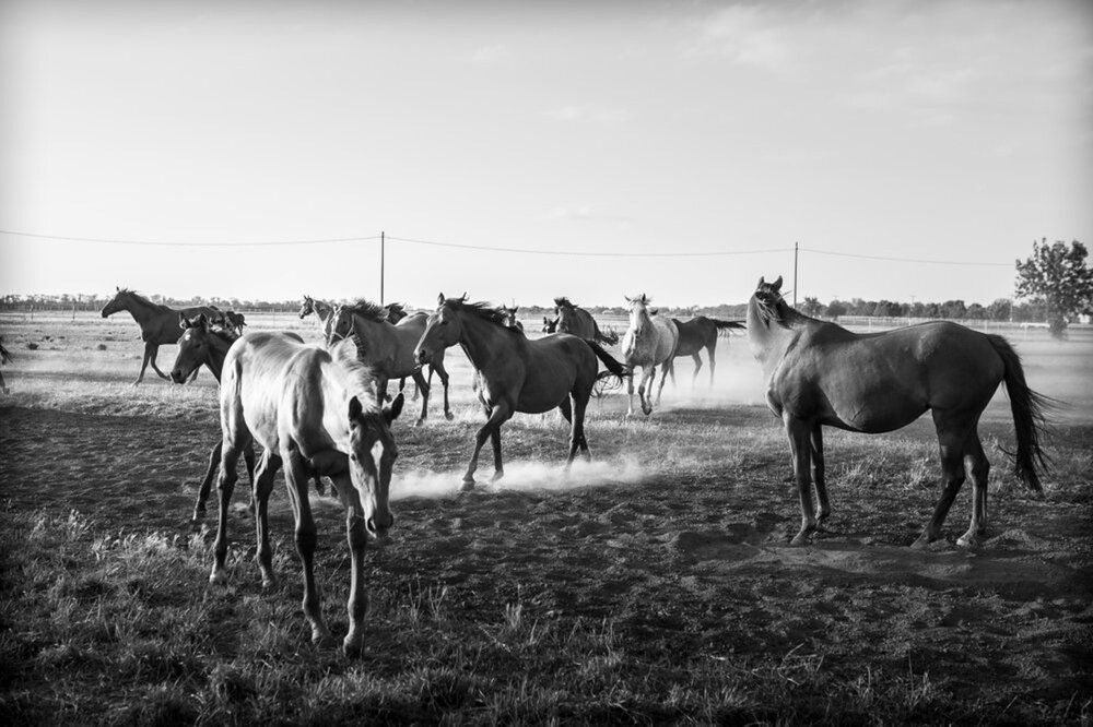 Photograph by Вероника Гергерт