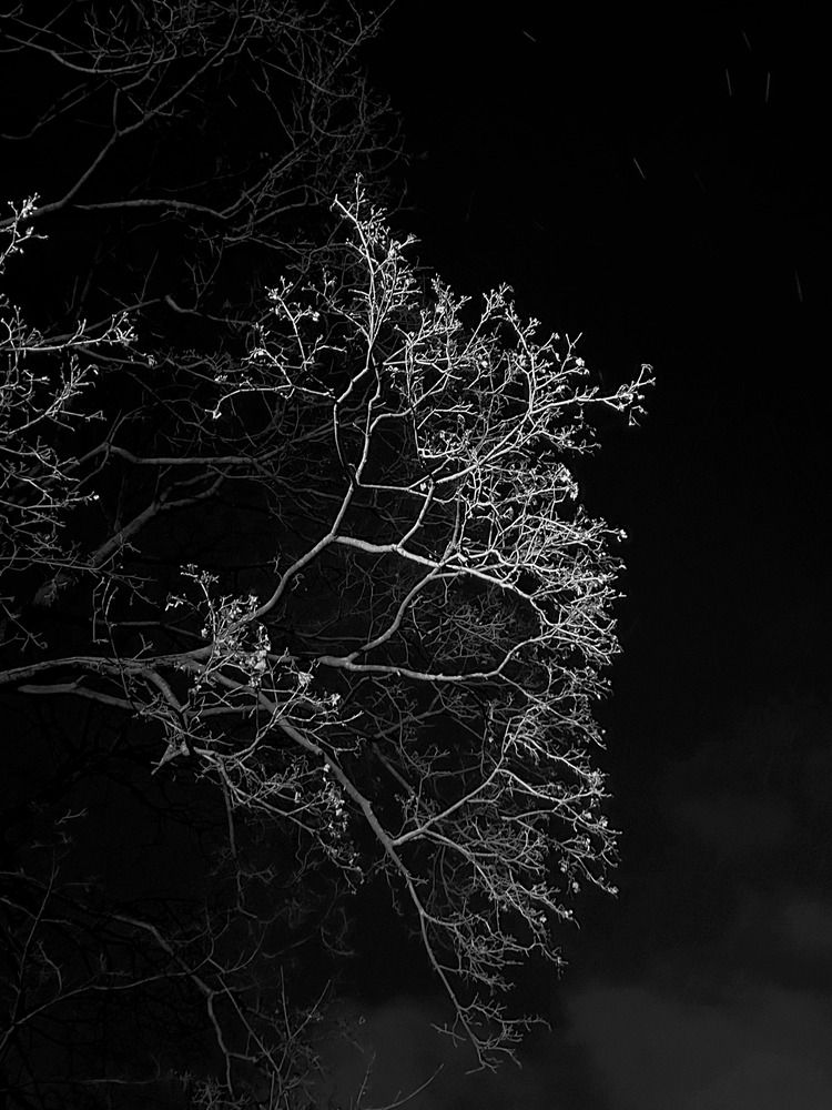 Photograph by Анастасия Бурая