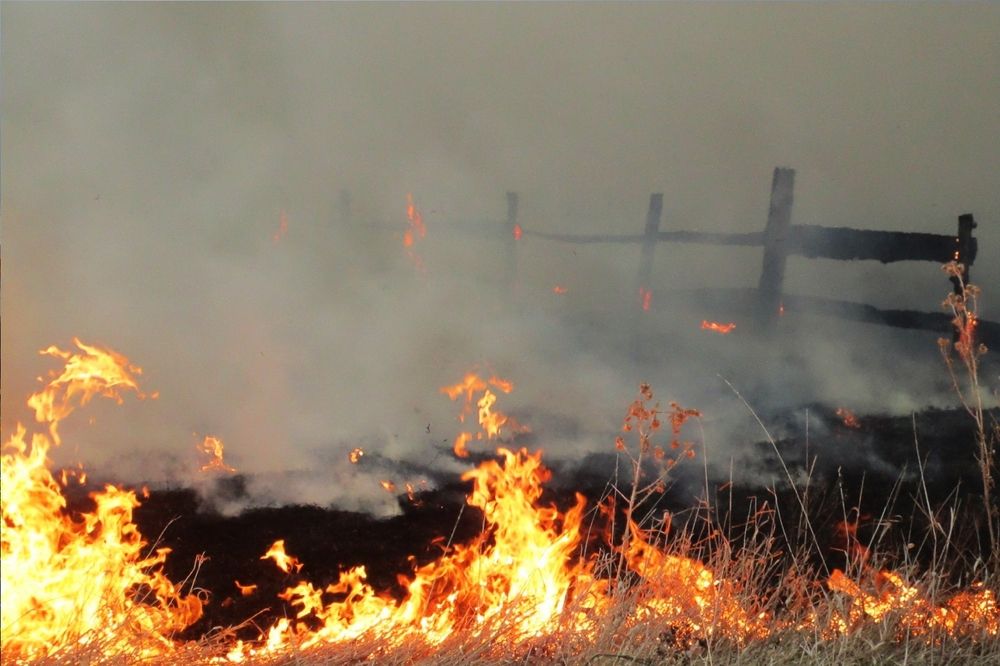 Огонь у околицы