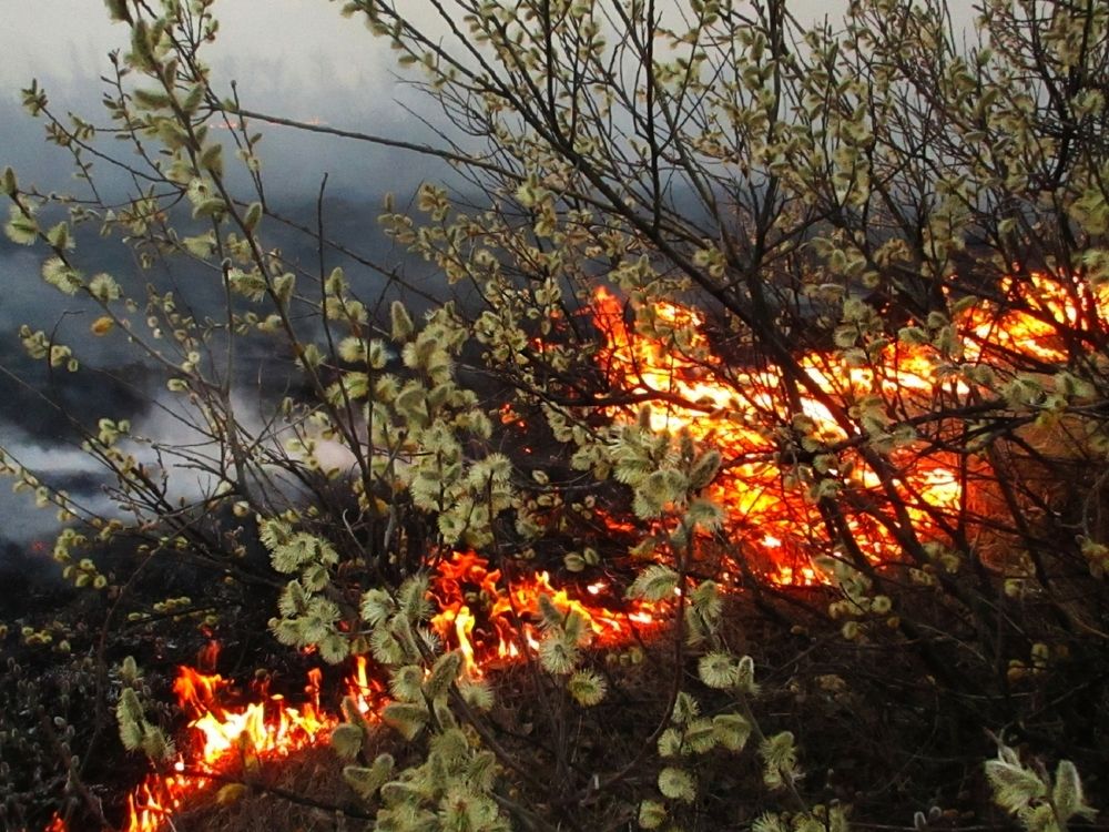 Огонь и весна