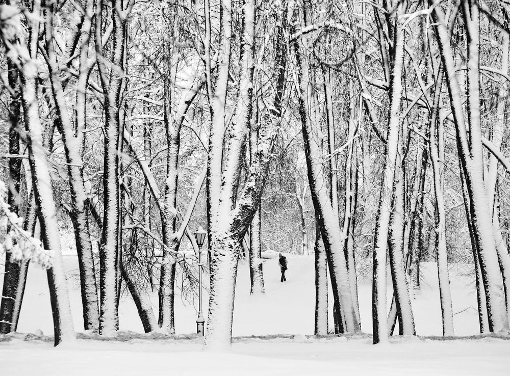 Photograph by Надежда Васильева
