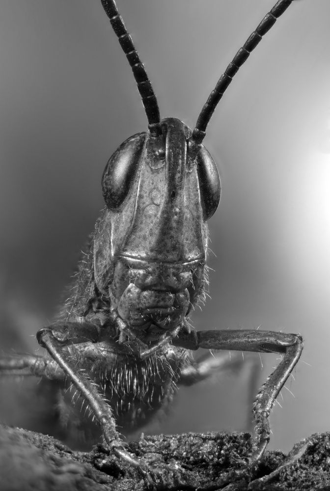 Photograph by Юрий Юрьевич Подгрушный