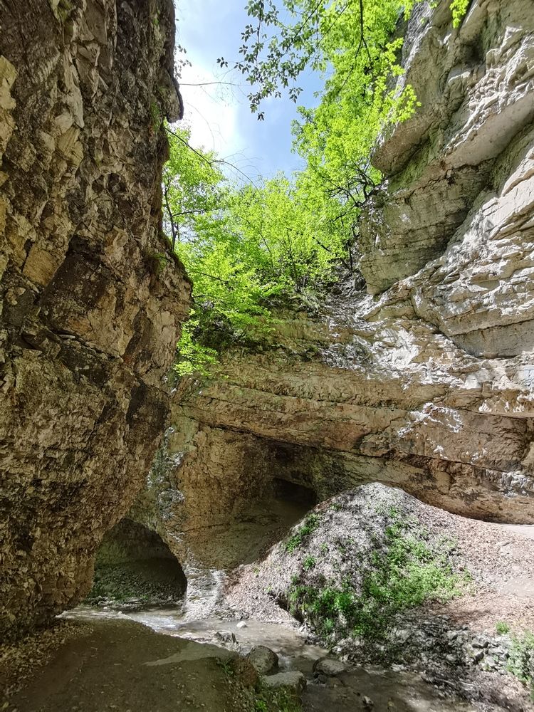 Фотография автора Ульяна Красикова