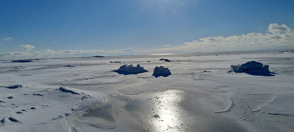 Photograph by Бондаренко Светлана
