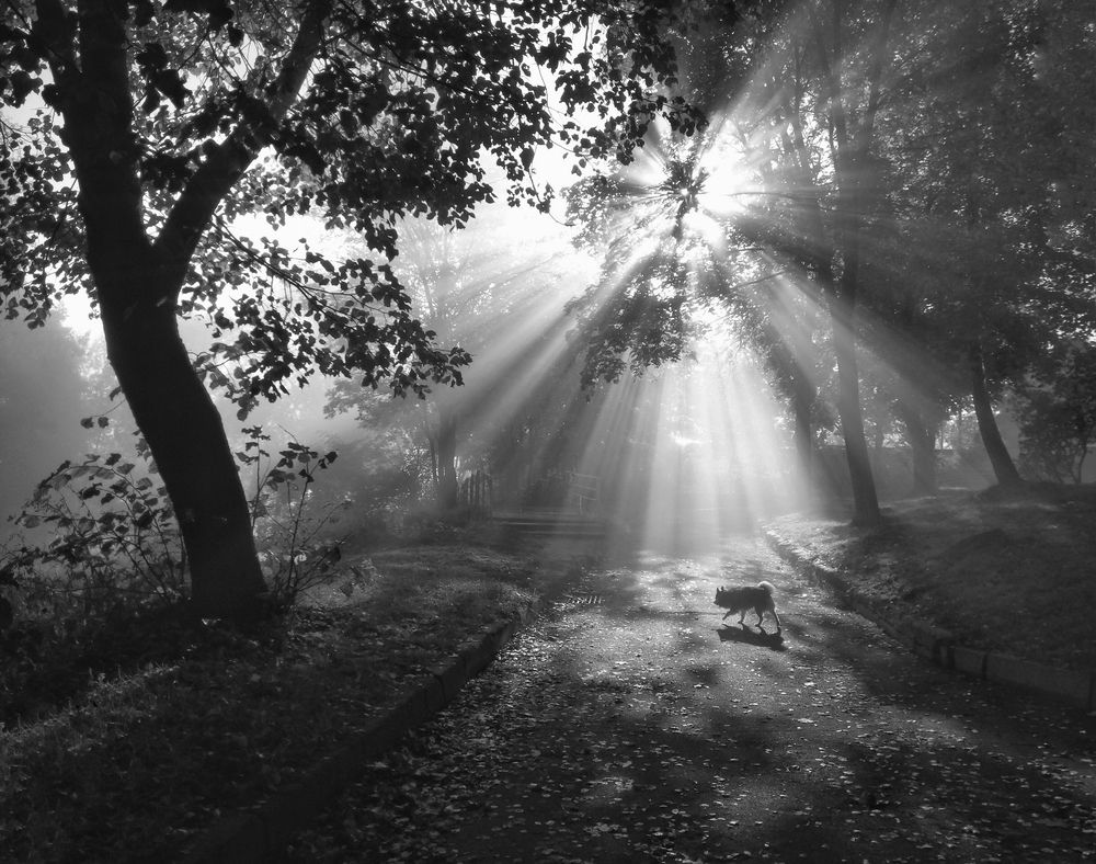 Photograph by Шляга Сергей