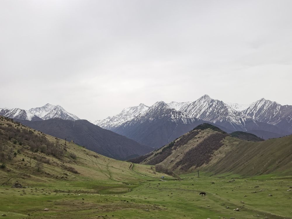 Фотография автора Ульяна Красикова