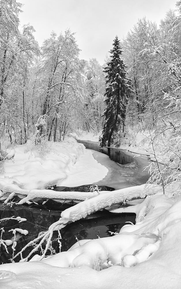 Photograph by Александр Авдушев