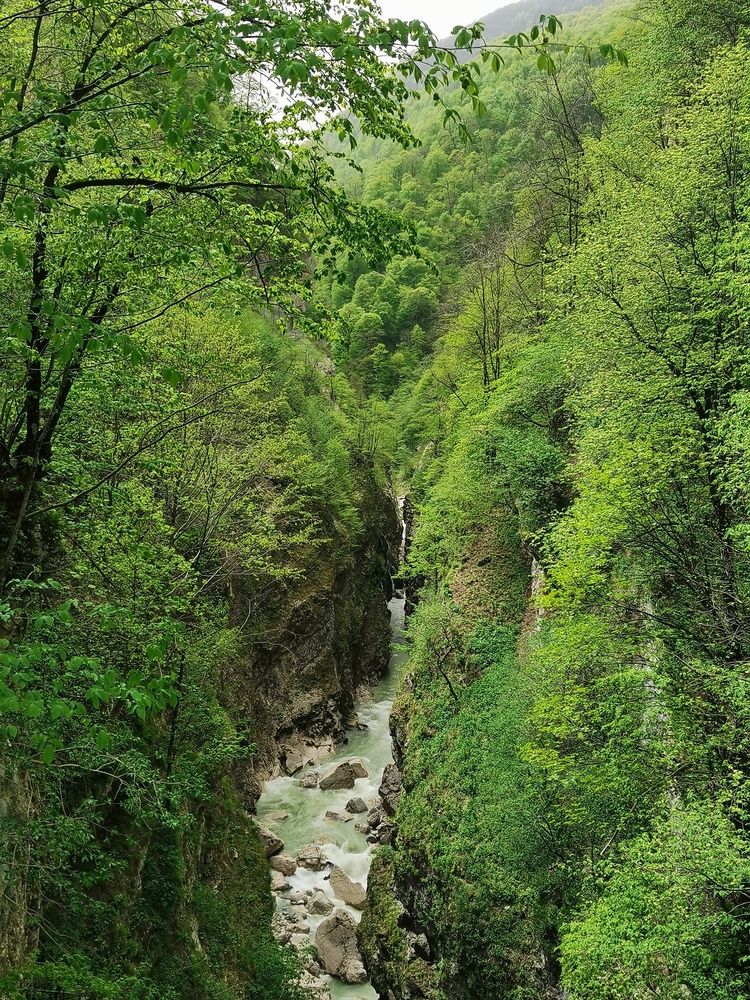 Фотография автора Ульяна Красикова