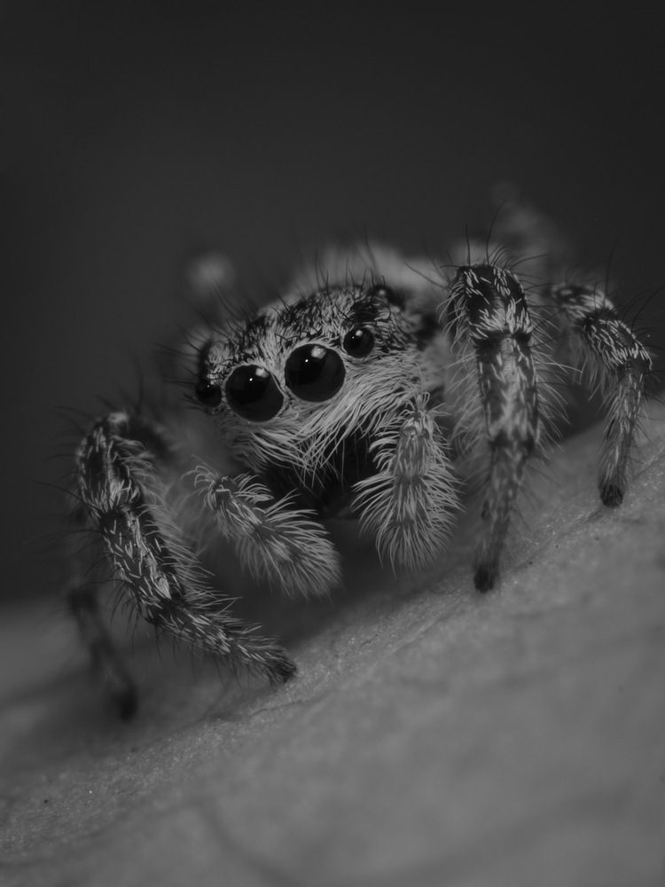 Photograph by Юрий Юрьевич Подгрушный