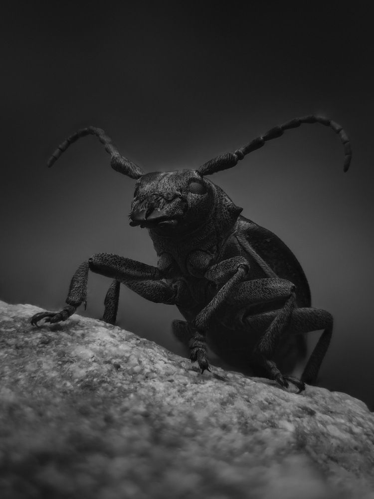 Photograph by Юрий Юрьевич Подгрушный