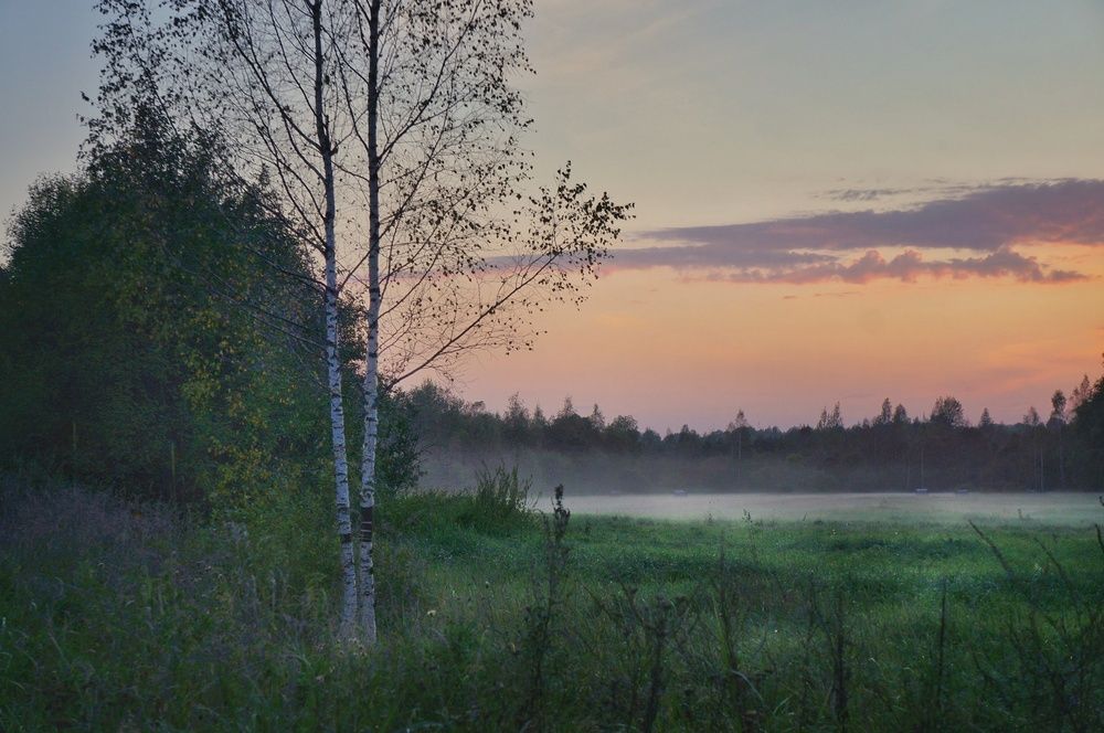 К вечеру у поля