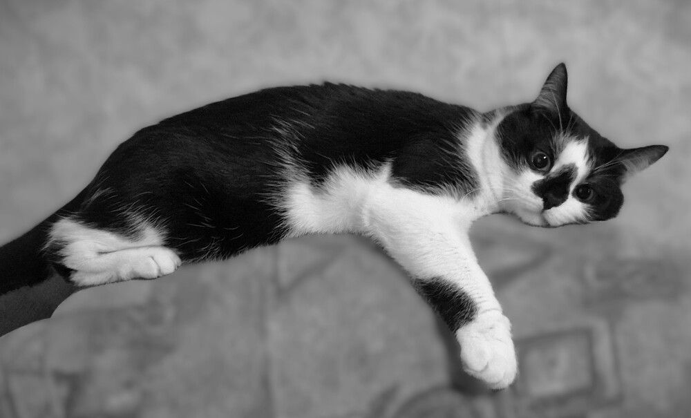 Photograph by Яна Галимуллина